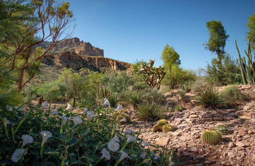 Boyce Thompson Arboretum, United States